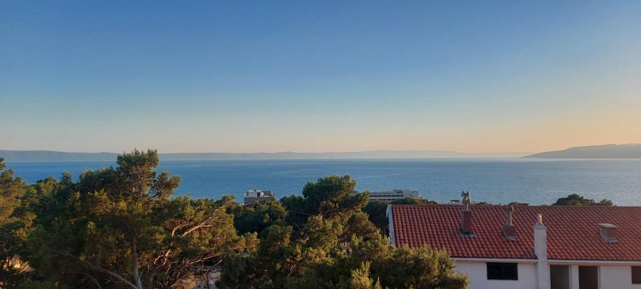Ivana Apartments Makarska Exterior foto